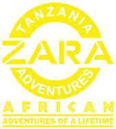 Zara Tanzania Adventures
