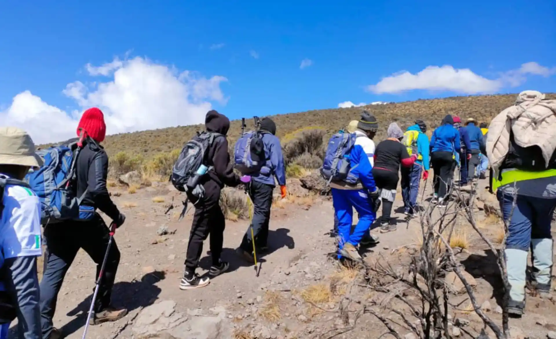 zara tours kilimanjaro tanzania pasua photos